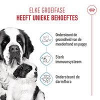 Royal Canin Giant Starter Mother and Babydog - Hondenvoer - 15 Kilogram - gevogelte