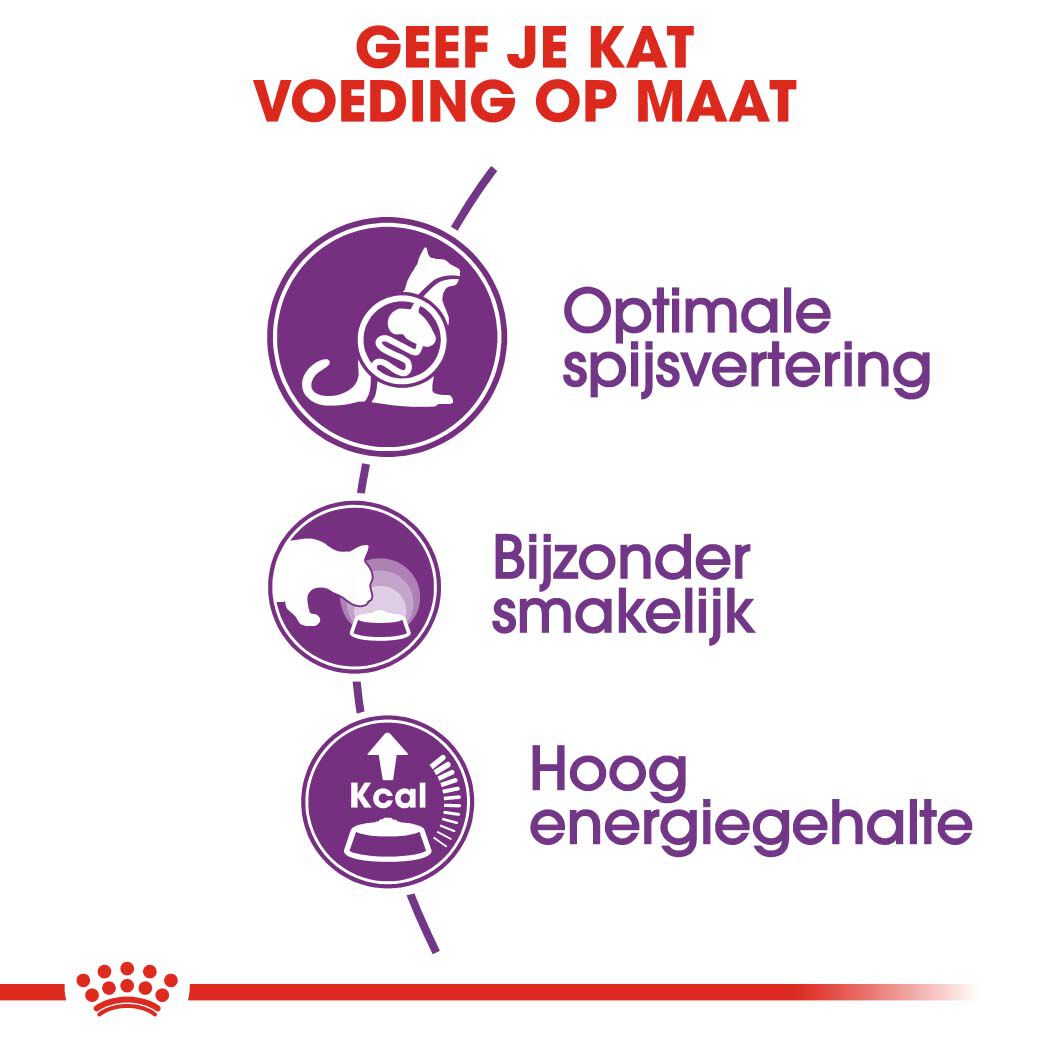 Royal Canin Sensible 33 - Kattenvoer - 2 Kilogram - Gevogelte