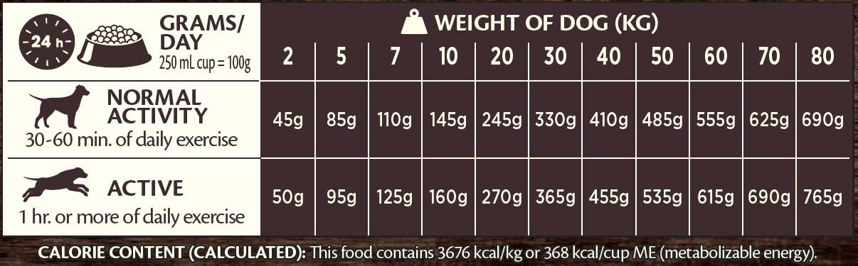 Wellness CORE Adult All Breeds - Hondenvoer - 10 Kilogram - lam