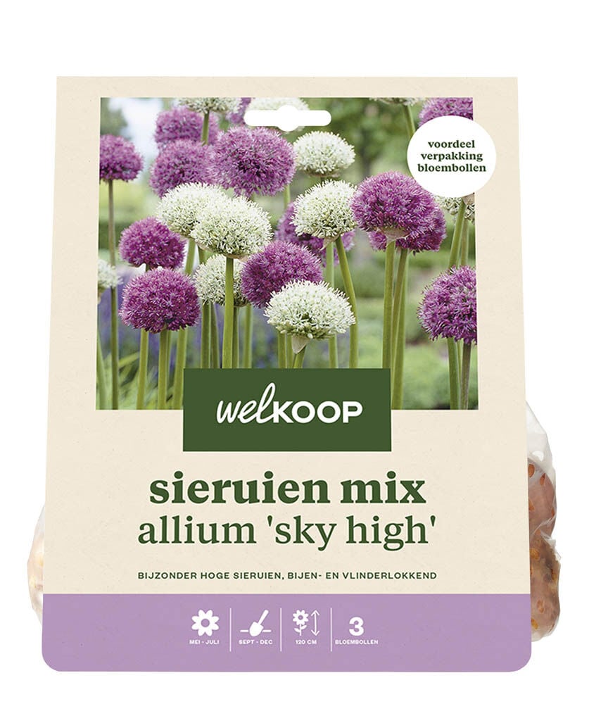 Welkoop Allium Lou - Bloembollen