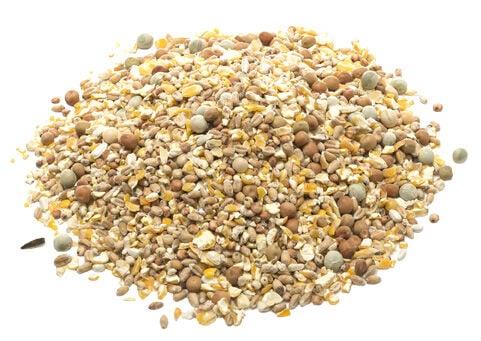 Welkoop sierduivenvoer - 5 Kilogram