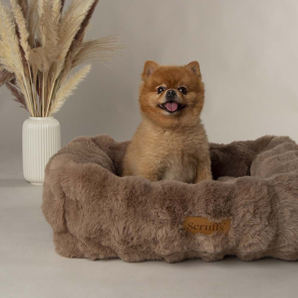 Scruffs Alpine - Hondenmand - Bruin - 28x82x50 cm - M