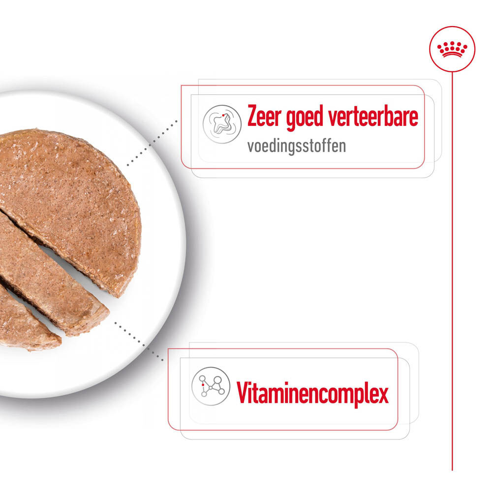 Royal Canin SHN Mini Adult - Hondenvoer - 195 Gram - gevogelte