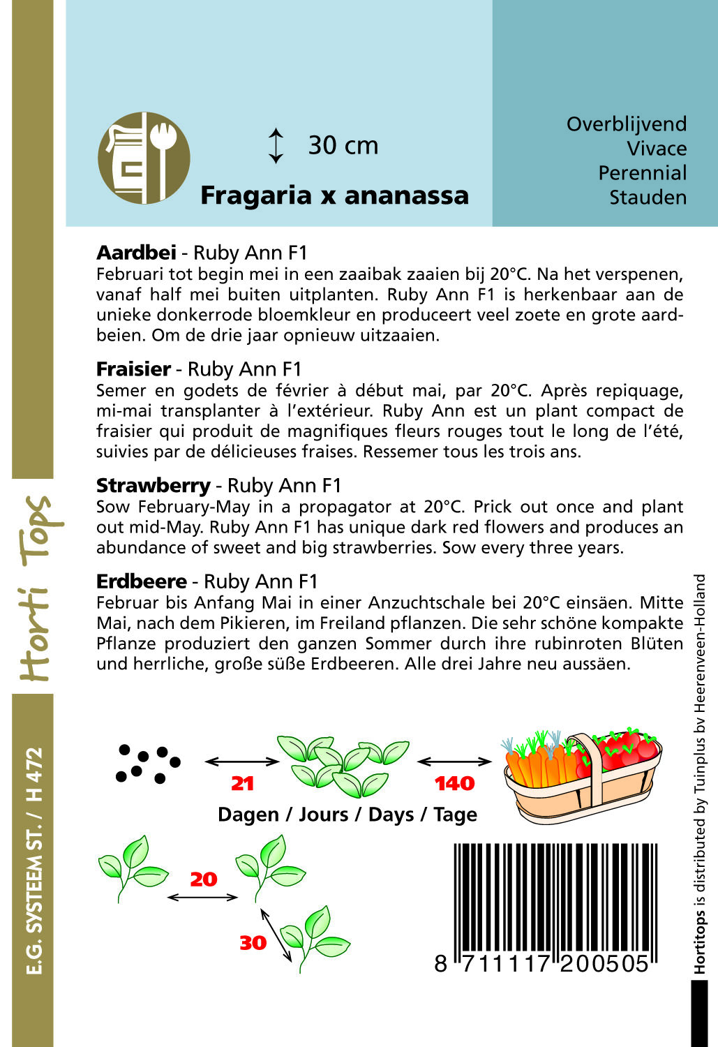 Hortitops Hangaardbeien Ruby Ann F1 Fragaria x ananassa - Groentezaden