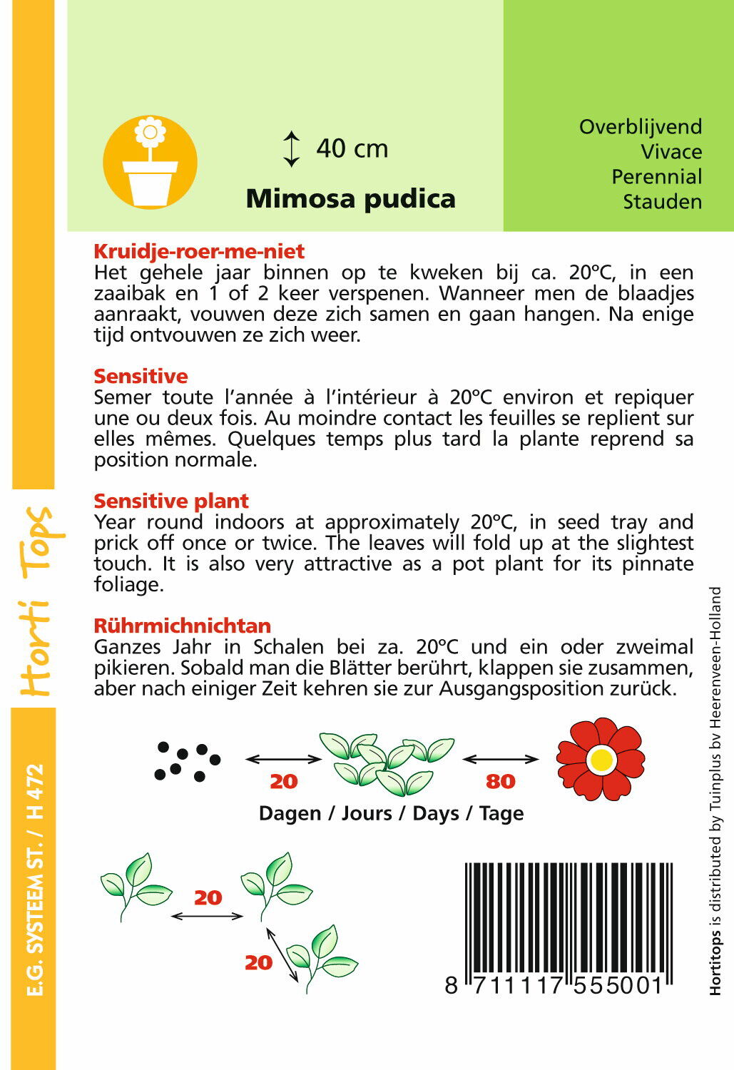 Hortitops Kruidje-Roer-me-niet Mimosa pudica - Bloemzaden