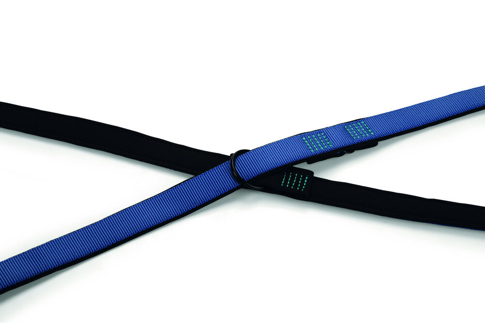 Beeztees Premium Parinca - Dressuurlijn - Trainingslijn Hond - blauw - 200 cm