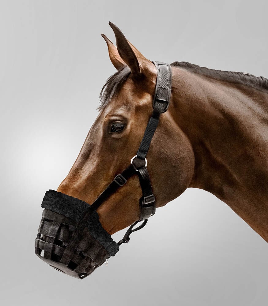 Waldhausen Comfort - Muilkorf paard