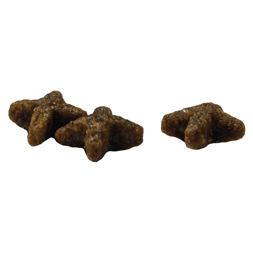 Prins VitalCare Indoor - Kattenvoer - 4 Kilogram - gevogelte
