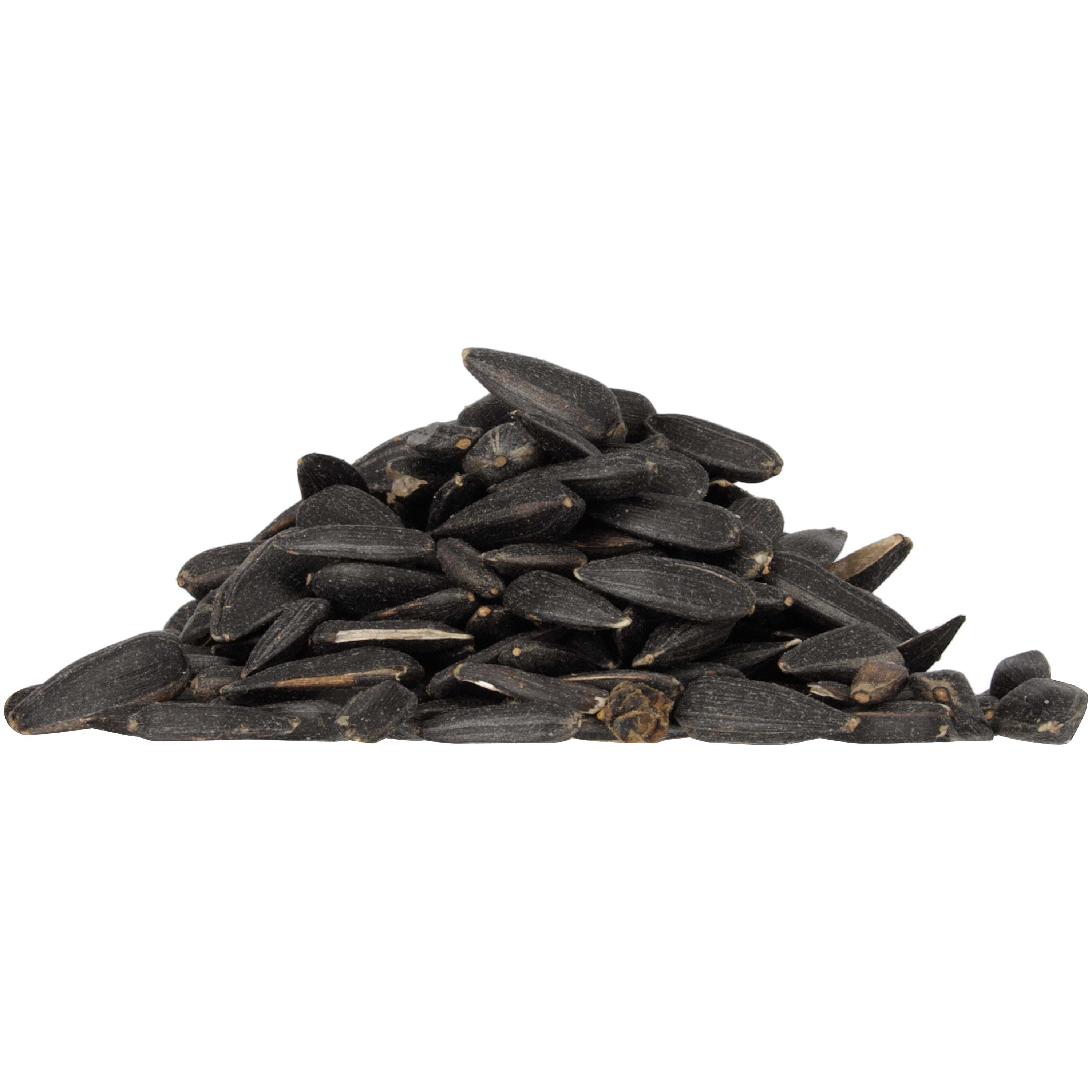 Welkoop - Zonnebloempitten - Zwart - in emmer - 2 Kilogram - Zonnebloempitten zwart