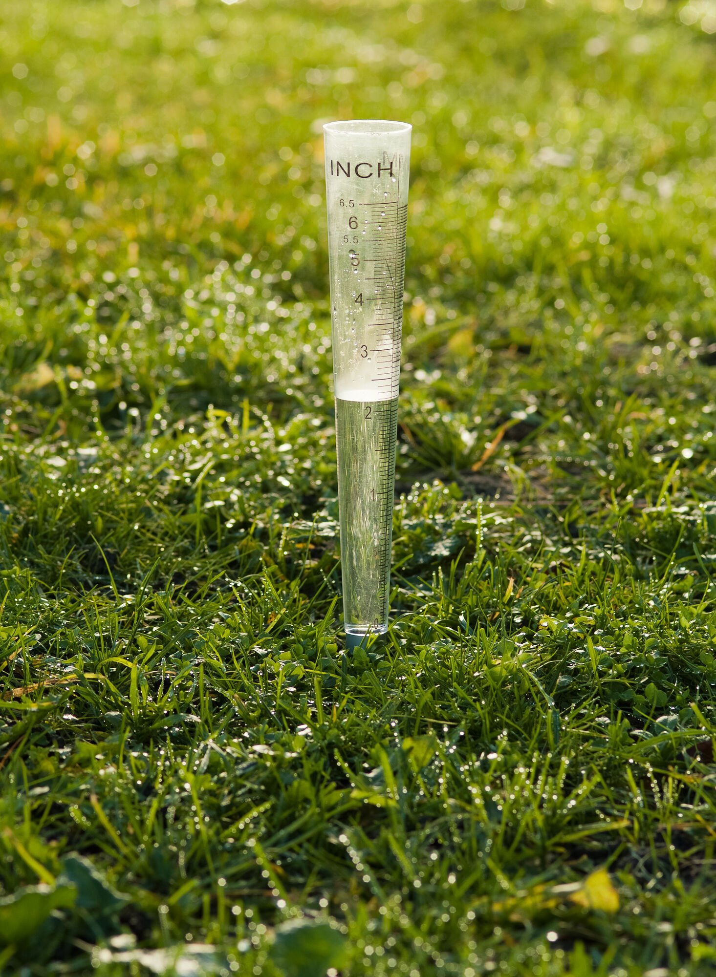 Nature Regenmeter V-model - Regen- en Thermometers