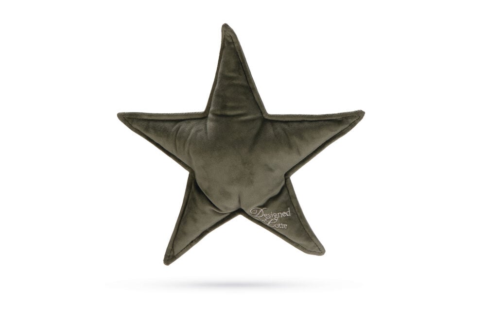 Designed By Lotte Kerstster - Knuffel - Hondenspeelgoed - groen - 29x27x27 cm