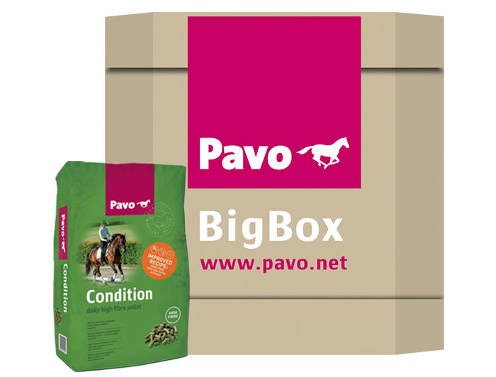 Pavo Condition - Basisvoeding - Paardenvoer - 725 Kilogram - Bigbox Pavo Condition - Basisvoeding - Paardenvoer - 725 Kilogram - Bigbox
