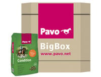 Pavo Condition - Basisvoeding - Paardenvoer - 725 Kilogram - Bigbox