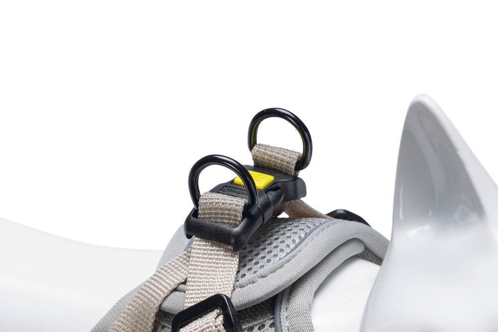 Beeztees Parinca - Kattentuigje - Grijs - S-M