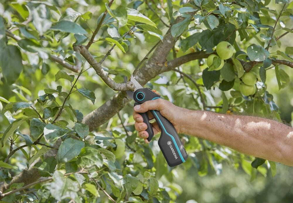 Gardena AssistCut Accu - Snoeischaar - Zwart