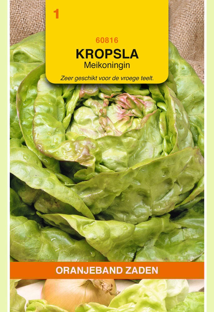 Oranjeband zaden Kropsla Meikoningin - Groentezaden