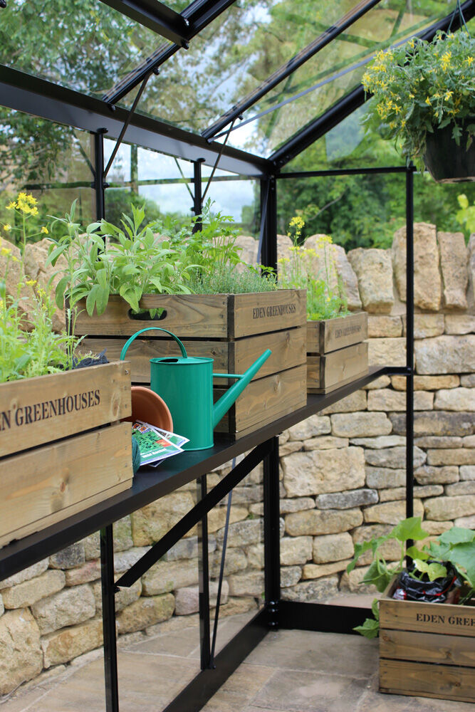 Eden Birdlip 46 - Tuinkas - zwart - 213x147.8x194 cm - Veiligheidsglas