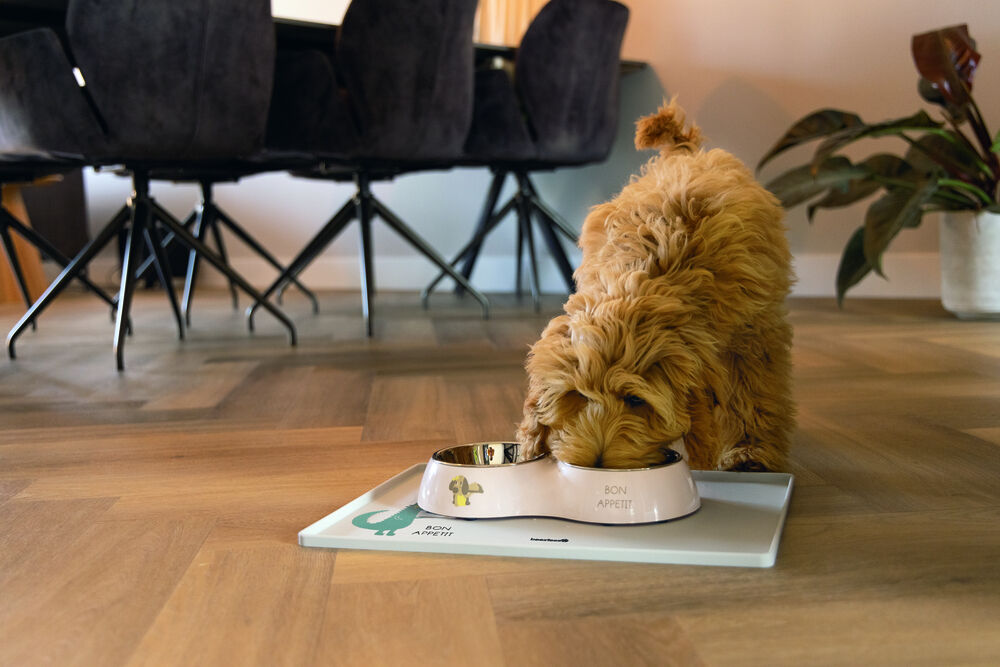 Beeztees Binky  Dinerset - Puppy Voer & Drinkbak - Roze - 27 cm