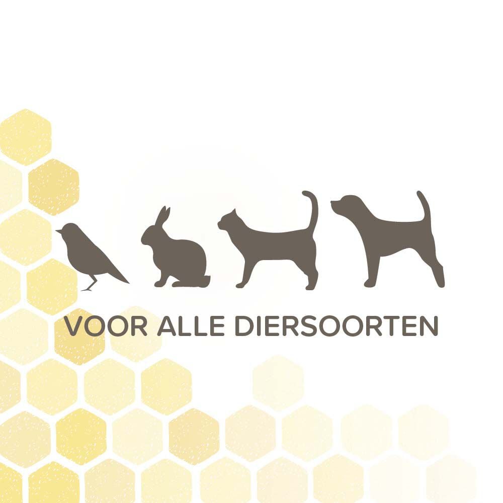Beaphar Derma+ spray - Wondverzorging Hond - 75 Milliliter