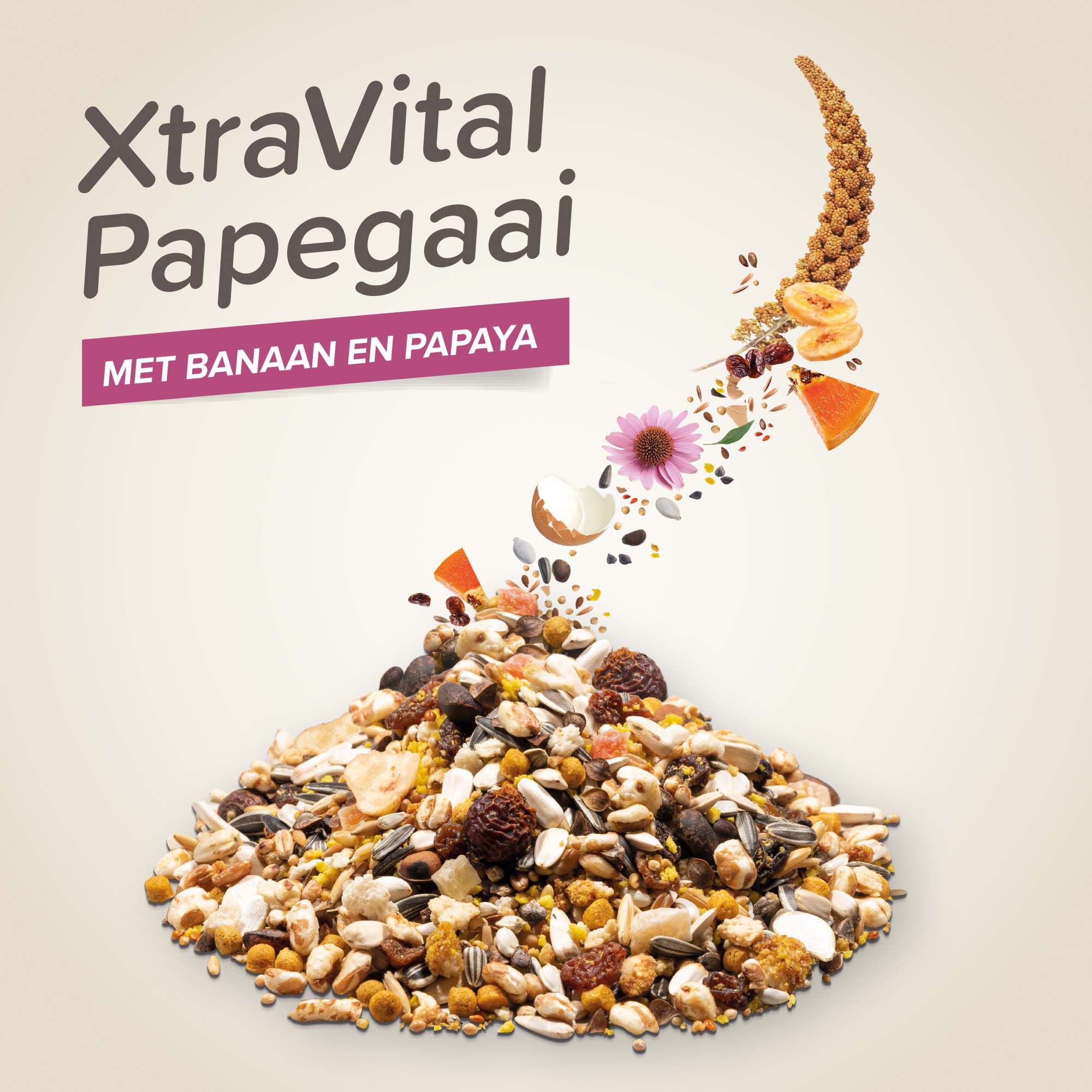 Beaphar Xtra Vital  Papegaai - Vogelvoer - 1 Kilogram - Volledig voer