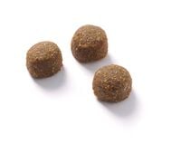 Fokker Acti-Fit - Hondenvoer - 13 Kilogram - kip, rijst