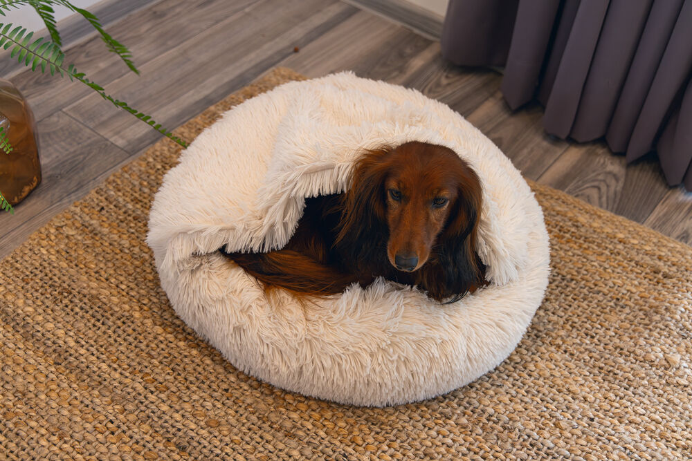 Beeztees Yala - Hondenmand - Beige - 20x50x50 cm - Klein