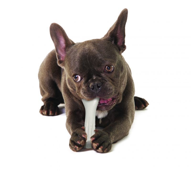 Petstages Deerhorn - Kauwspeelgoed - Beige - 2.54x14x5.08 cm - S