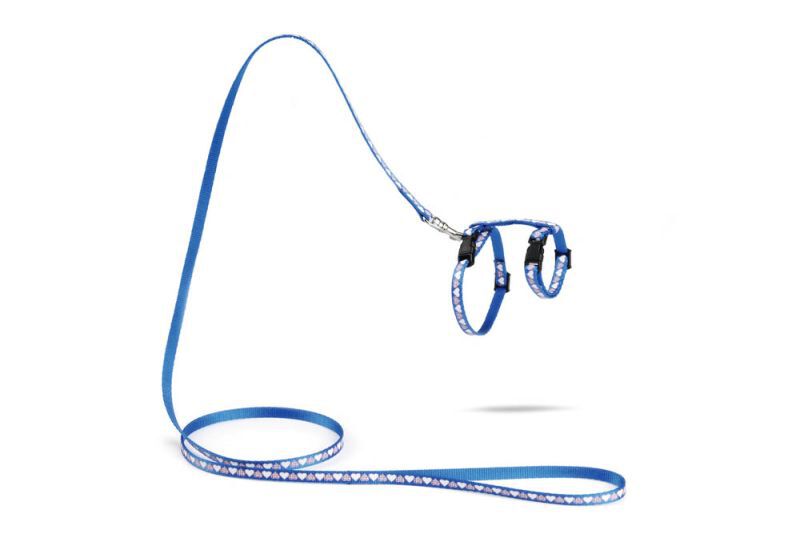 Beeztees Hearts - Kittentuigje - Blauw - 100 cm