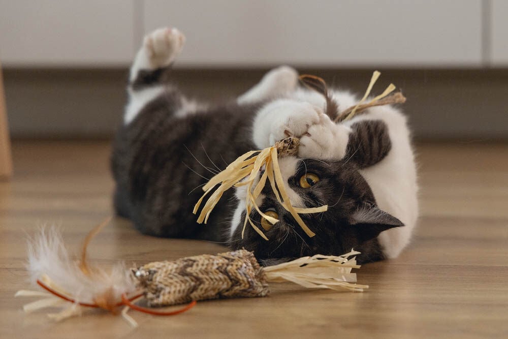 Beeztees Stick Omazo - Kattenspeeltje - Beige