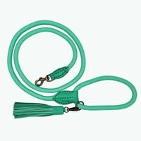 Dwam Lagoon 155 cm - Trainingslijn Hond - Turquoise