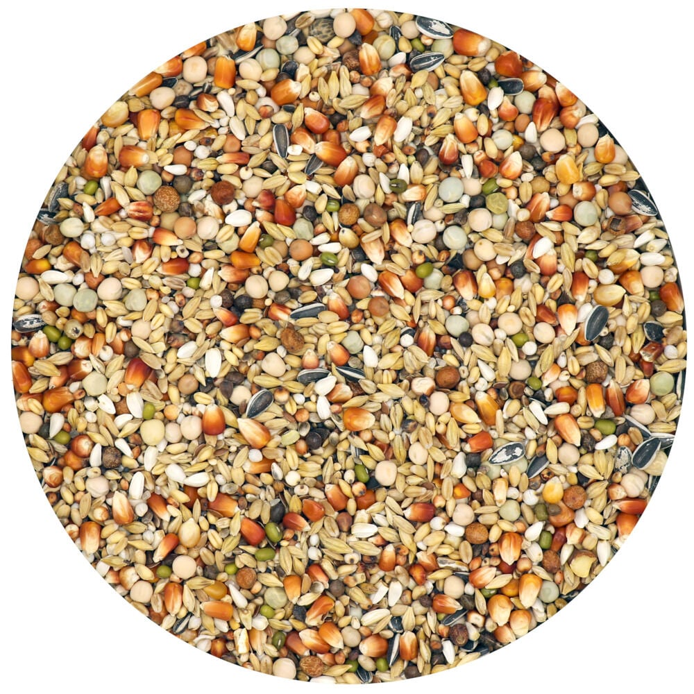 Versele Laga Traditional  Rui - Duivenvoer - 25 Kilogram