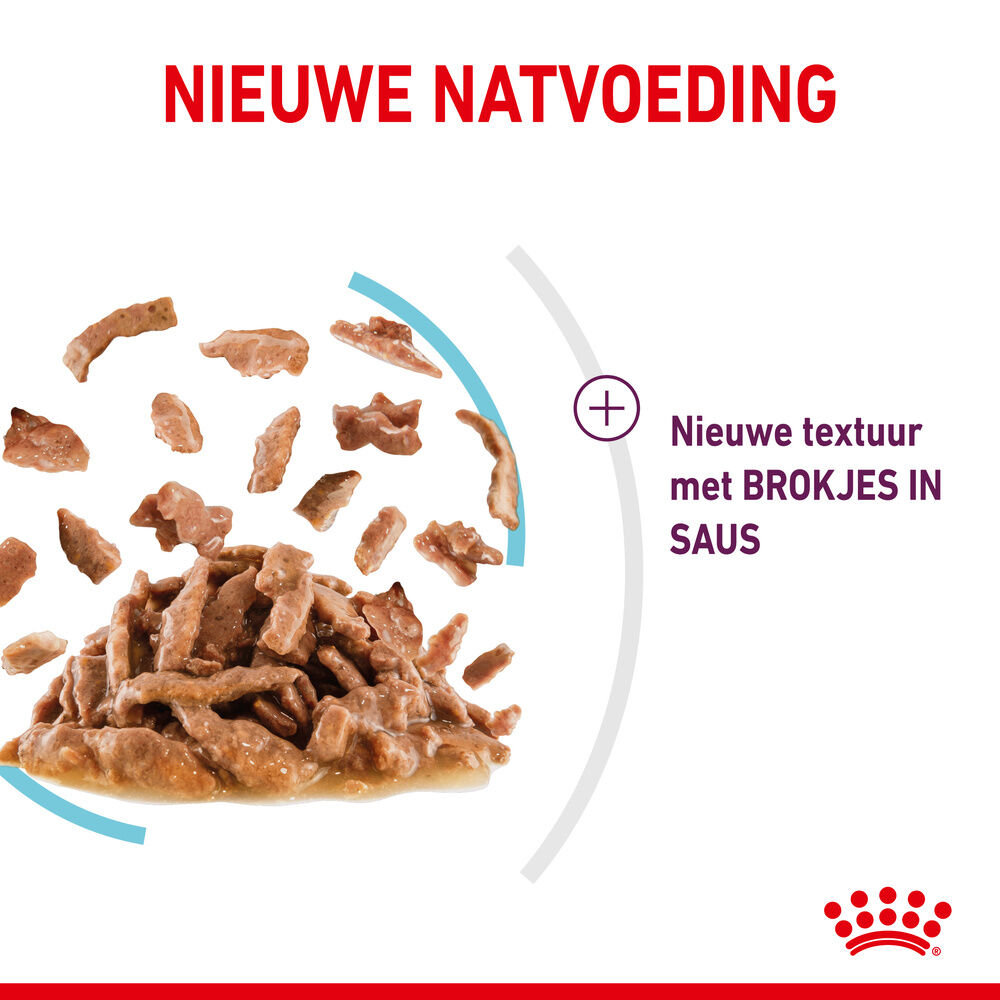 Royal Canin Sensory Feel - Kattenvoer - 1020 Gram