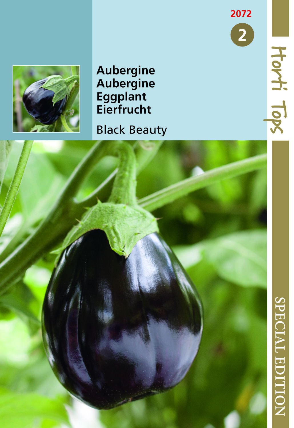 Hortitops Aubergine Black Beauty Solanum melongena - Groentezaden
