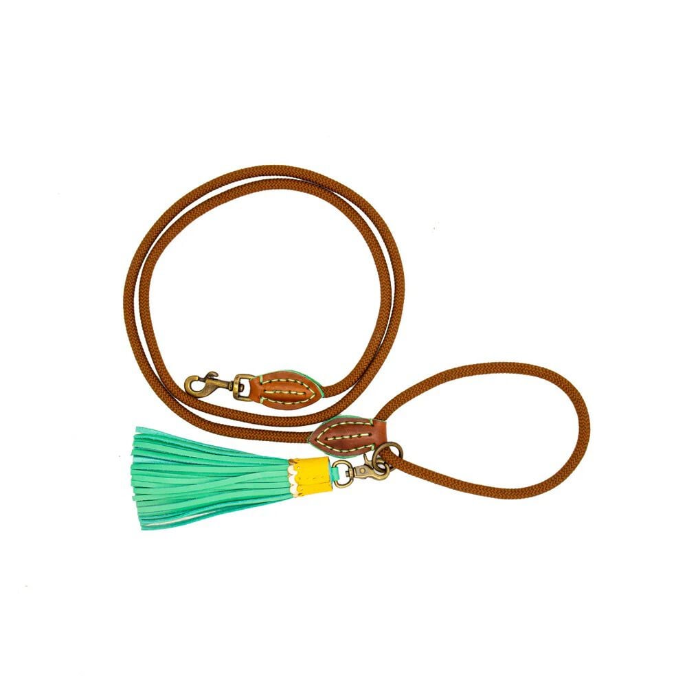 Dwam Rover 155 cm - Trainingslijn Hond Dwam Rover 155 cm - Trainingslijn Hond