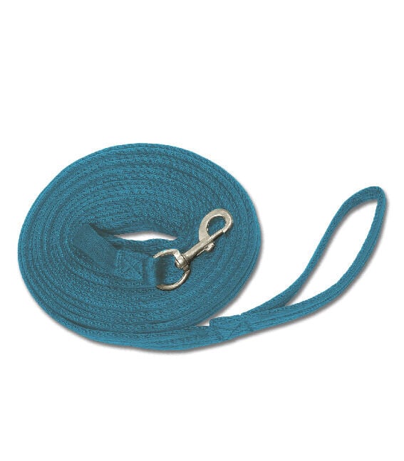 Waldhausen Soft - Longeerlijn - Azur blauw - 800 cm Waldhausen Soft - Longeerlijn - Azur blauw - 800 cm