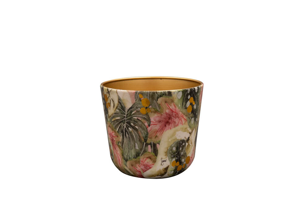TS COLLECTION Monstera Mystery - Bloempot - Multi - 14 cm TS COLLECTION Monstera Mystery - Bloempot - Multi - 14 cm