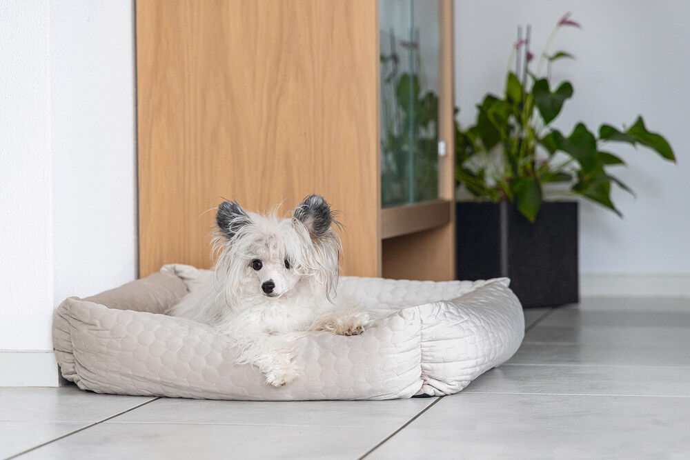 Karlie Velvet - Hondenmand - Beige - 22x70x80 cm - Groot