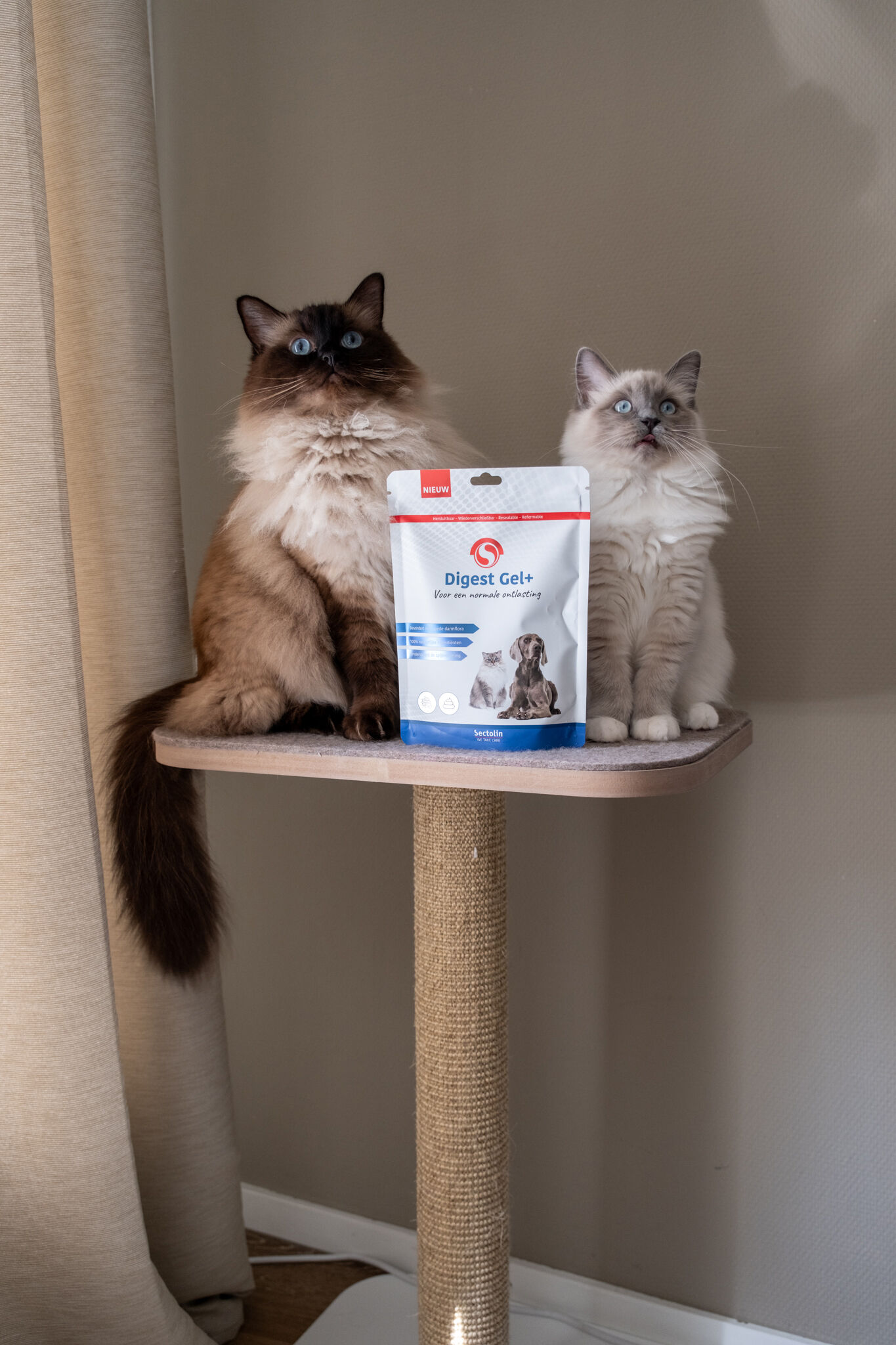 Sectolin Digest Gel+ Spijsvertering en darmflora Prebiotica - Hond en Kat - 100 Gram