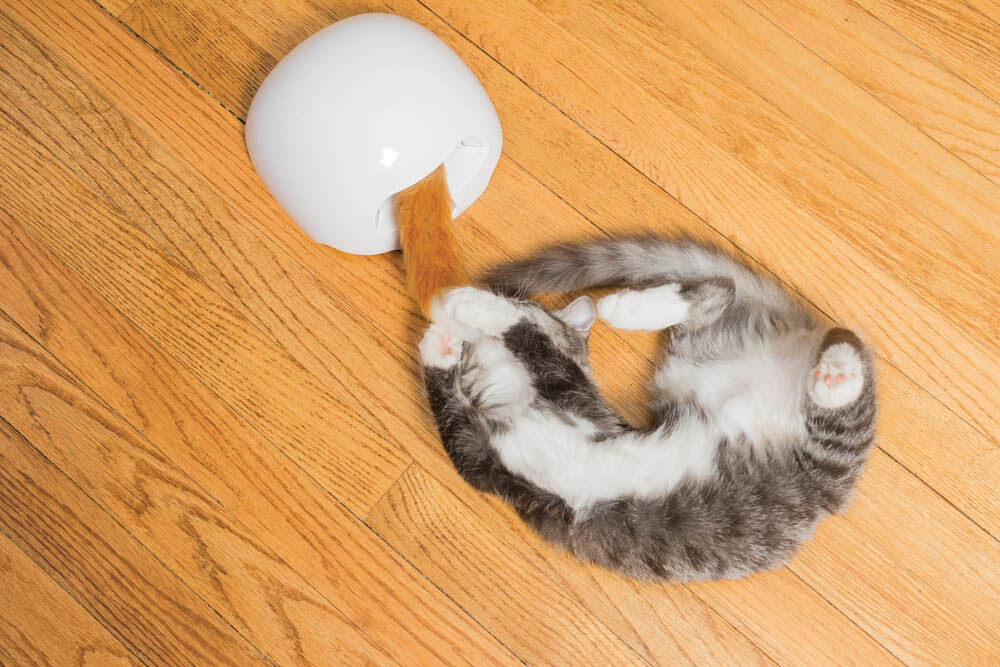 Petsafe Fox Tail - Elektrisch kattenspeelgoed