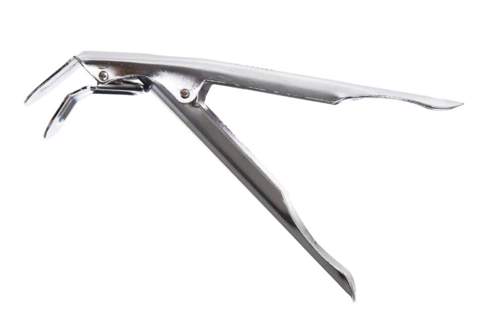 Grizzly Grills Grill clipper - Roostertang - rvs