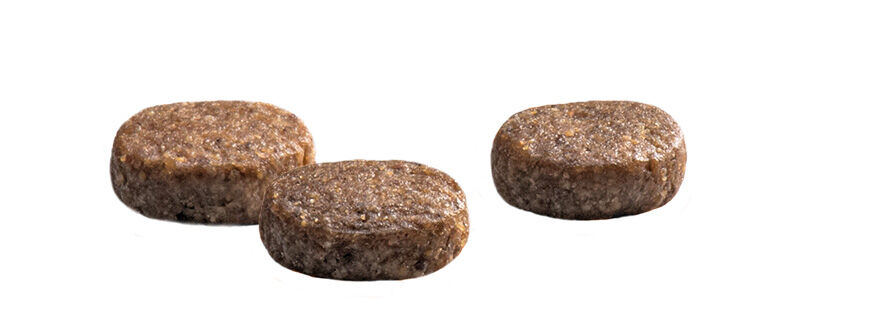 Prins Protection Croque Junior Performance - Hondenvoer - 10 Kilogram - kip