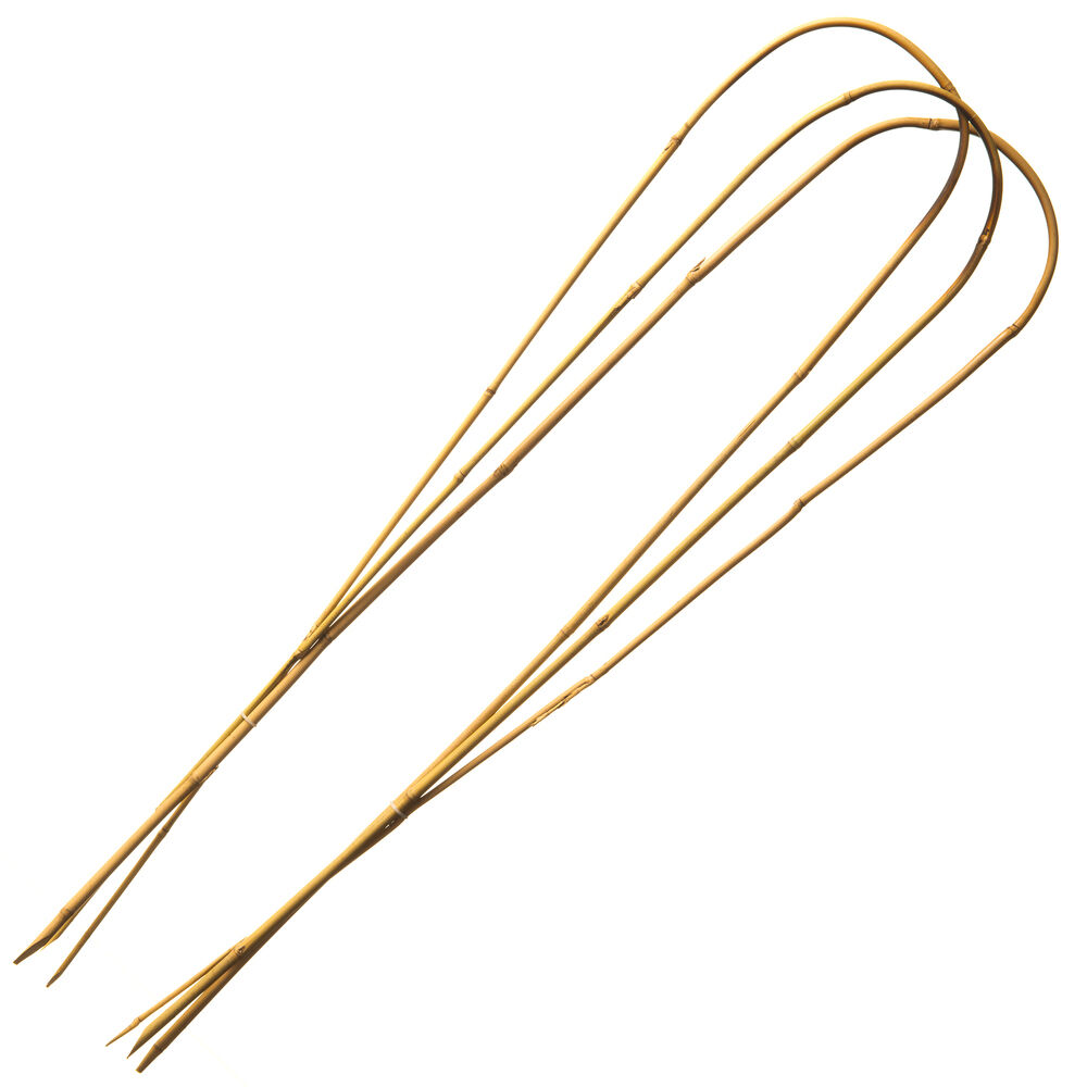 Nature Gebogen Bamboestokken - Klim- en Geleide Artikelen