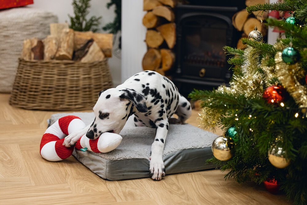 Beeztees Zuurstok Kerst Knuffel - Hondenspeelgoed - rood/wit - 50x21x21 cm