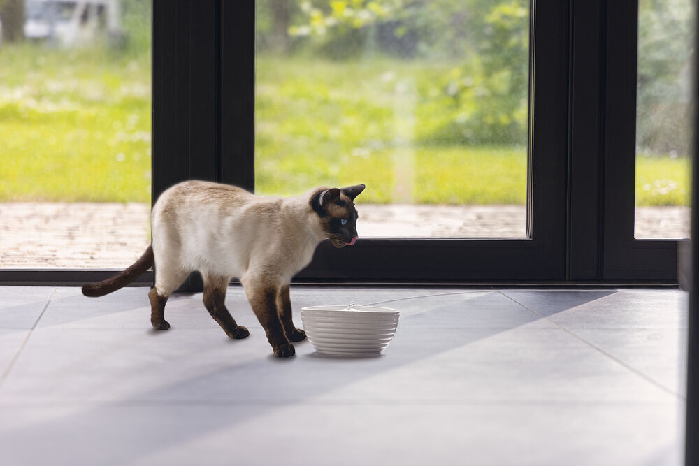 Beeztees Jaap - Drinkfontein Kat - 1,5 liter - Wit - 20.7x21x26 cm