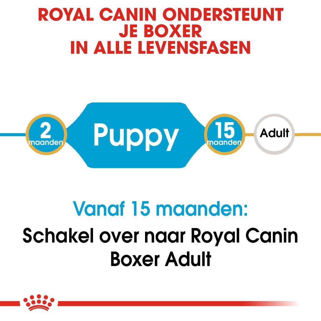 Royal Canin Boxer Junior - Hondenvoer - 12 Kilogram - gevogelte