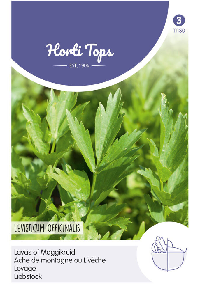 Hortitops Lavas Levisticum officinalis (maggiplant) - Kruidenzaden
