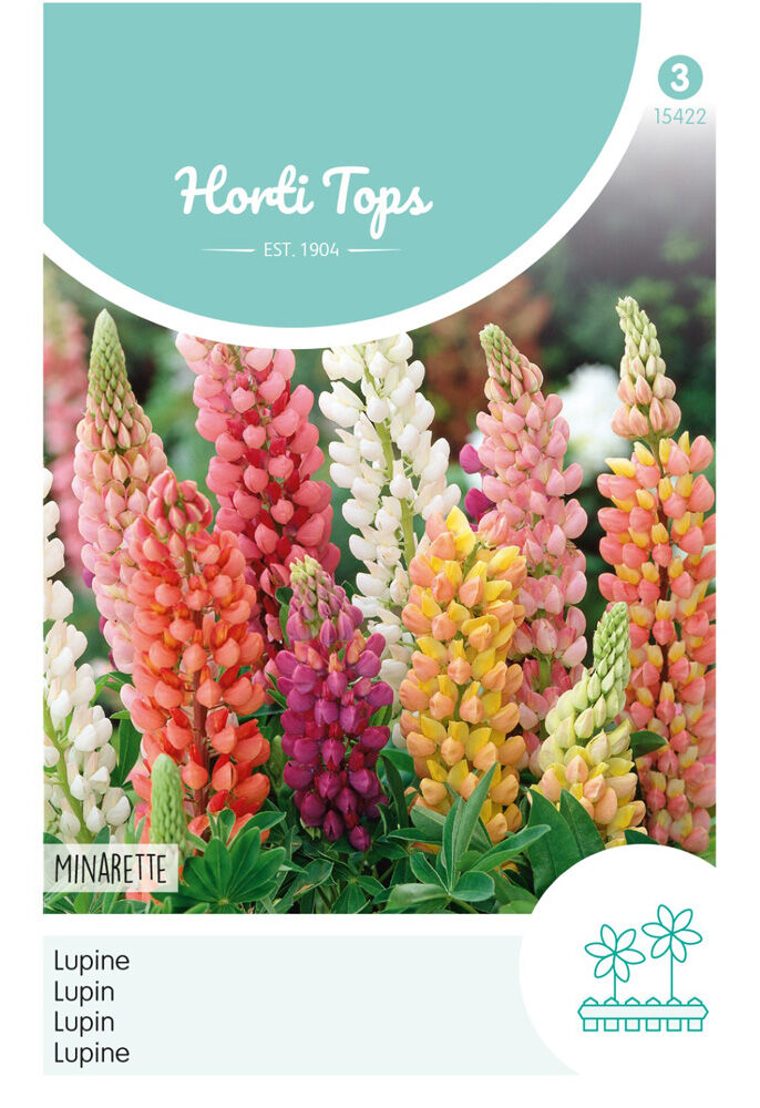 Hortitops Lupine Lage Minarette -Bloemzaden