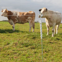Gallagher - Geëlektrificeerde ring top paal  - Afrasteringspaal - 11 cm - 10 Stuks - 130 cm