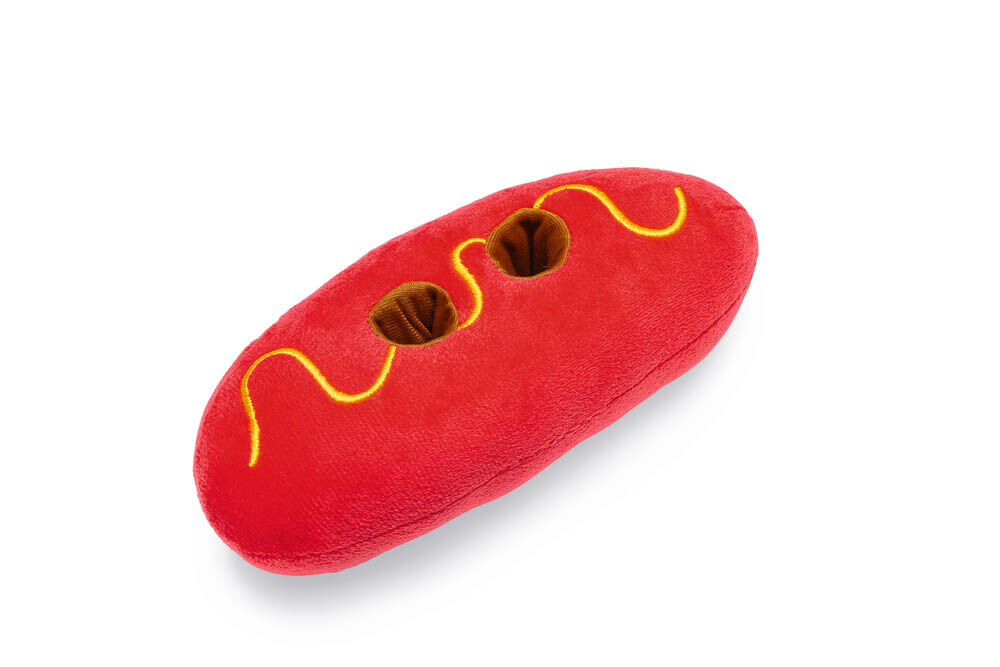 Beeztees Vork en worst - Knuffel - Hondenspeelgoed - Diverse kleuren - 8x18x33 cm