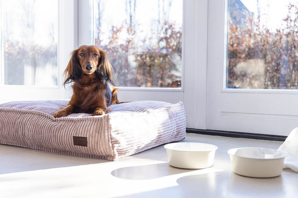 Designed by Lotte Ribbed - Hondenkussen - roze - 15x55x70 cm - S